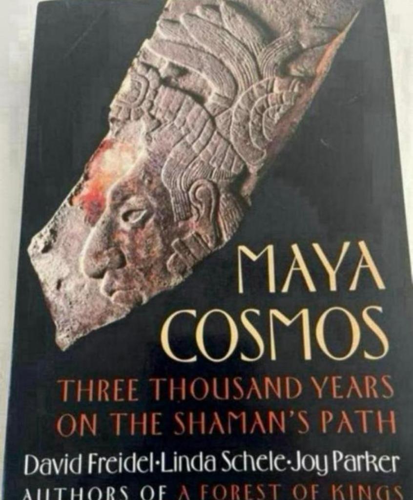 Maya Cosmos: Drieduizend jaar op het pad van de sjamaan, Boeken, Ophalen of Verzenden, Zo goed als nieuw