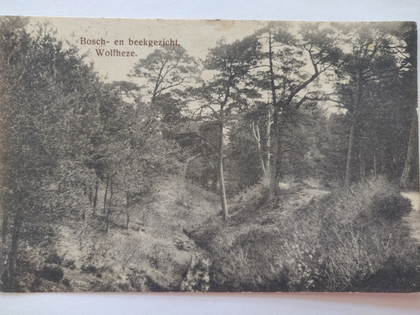 C578 Wolfheze 1911, Ophalen of Verzenden, 1920 tot 1940