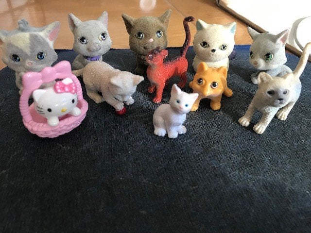 katten, Ophalen of Verzenden, Nieuw