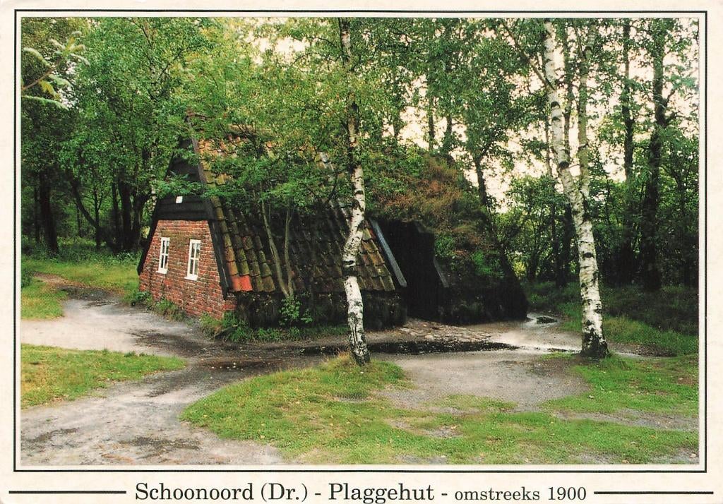 Schoonoord, Plaggehut, Ophalen of Verzenden, 1980 tot heden, Gelopen, Drenthe