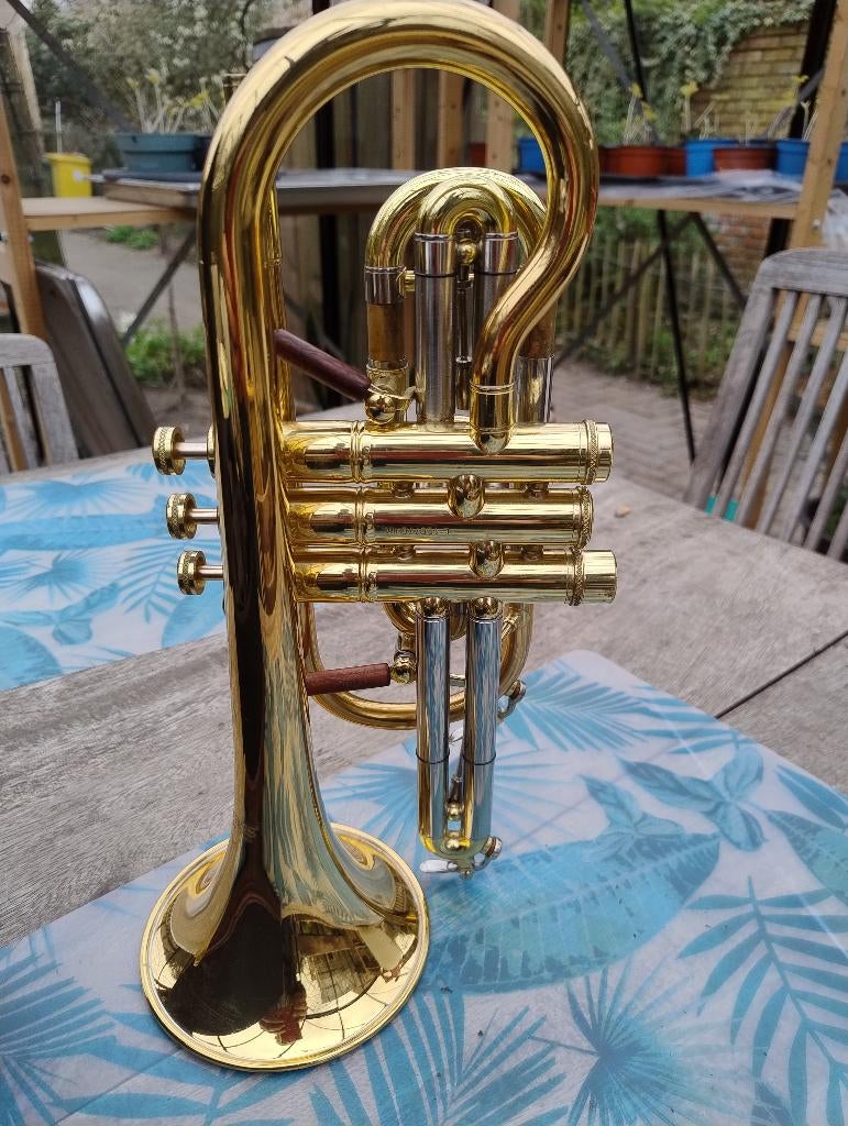 Cornet 6882 gss -L  CarolBrass goudlak, Muziek en Instrumenten, Verzenden, Zo goed als nieuw, Overige typen, Met koffer