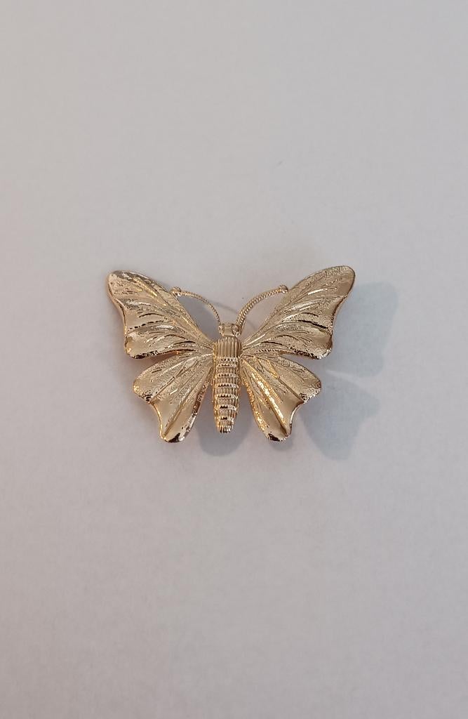 Vlinder broche, Overige materialen, 4 tot 7 cm, Overige kleuren, Nieuw