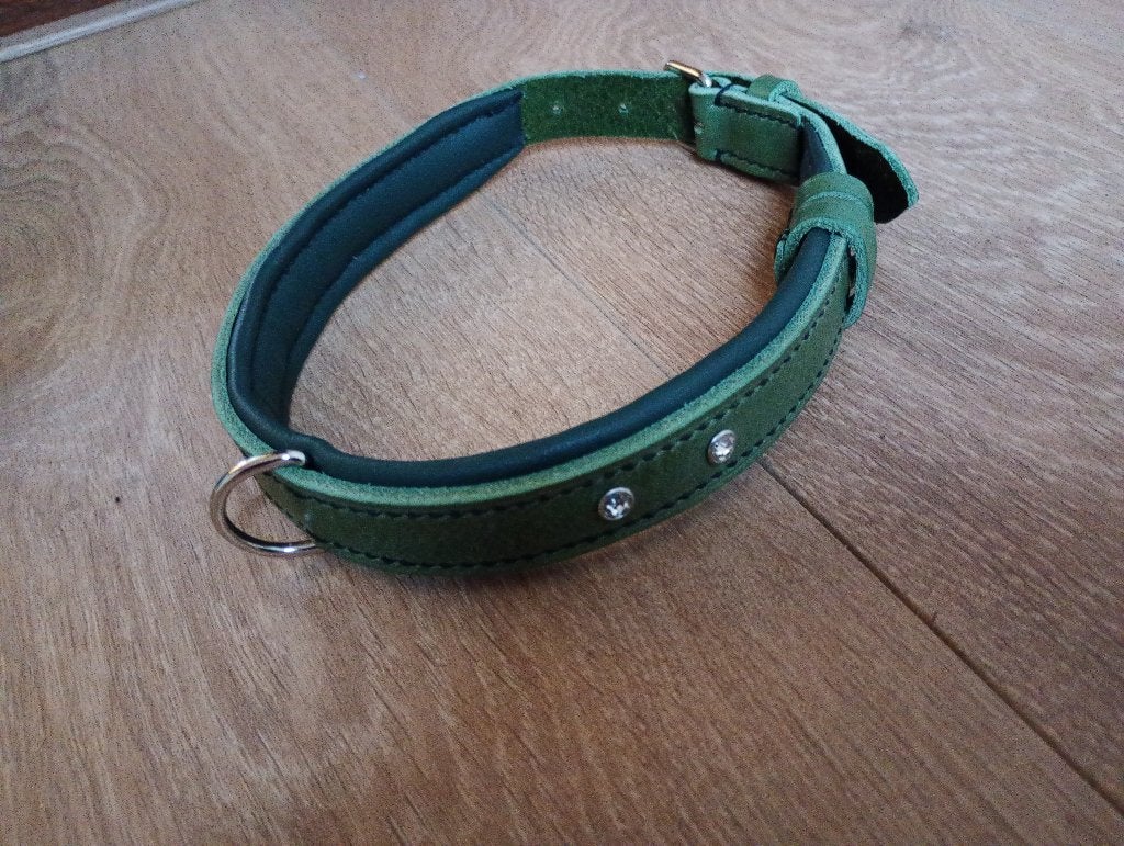 Honden halsbanden (diverse kleuren), Mmzadelmakerij@hotmail.com, Mmzadelmakerij@hotmail.com, Nieuw, Ophalen of Verzenden
