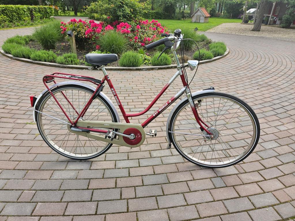Gazelle Primeur Damesfiets - Klassiek en Betrouwbaar, Ophalen, Terugtraprem, Gazelle, 53 tot 56 cm