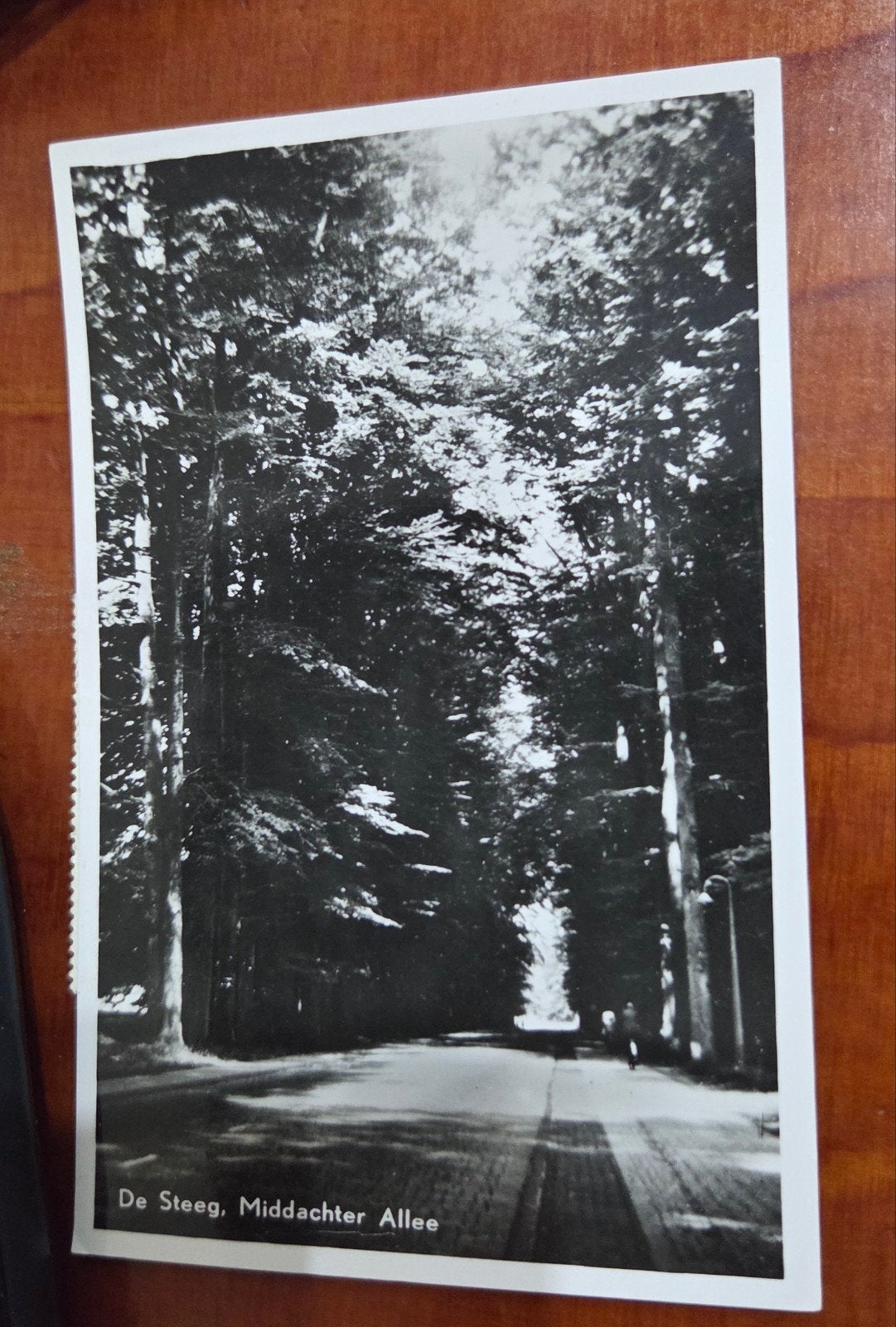 Oude Ansichtkaart: De Steeg, Middachter Allee (Gelopen), Verzamelen, Ansichtkaarten | Nederland, Ophalen of Verzenden, 1920 tot 1940