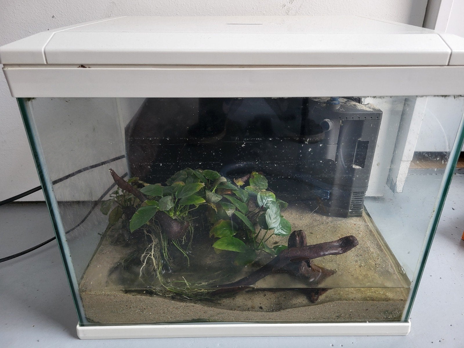Superfish 30L zonder vissen, Ophalen, Leeg aquarium