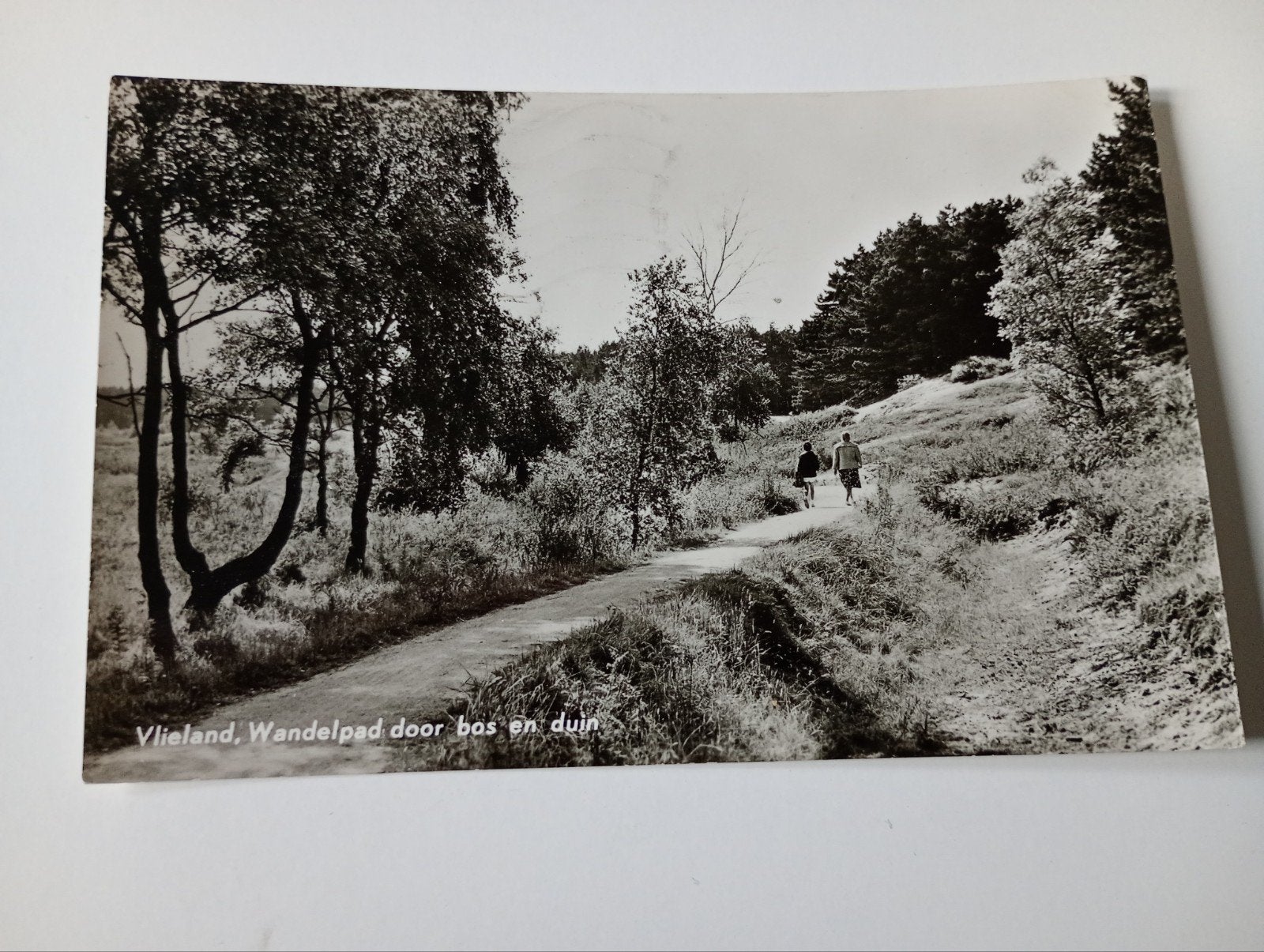 Vlieland Wandelpad 1966, Ophalen of Verzenden, 1960 tot 1980, Gelopen, Waddeneilanden