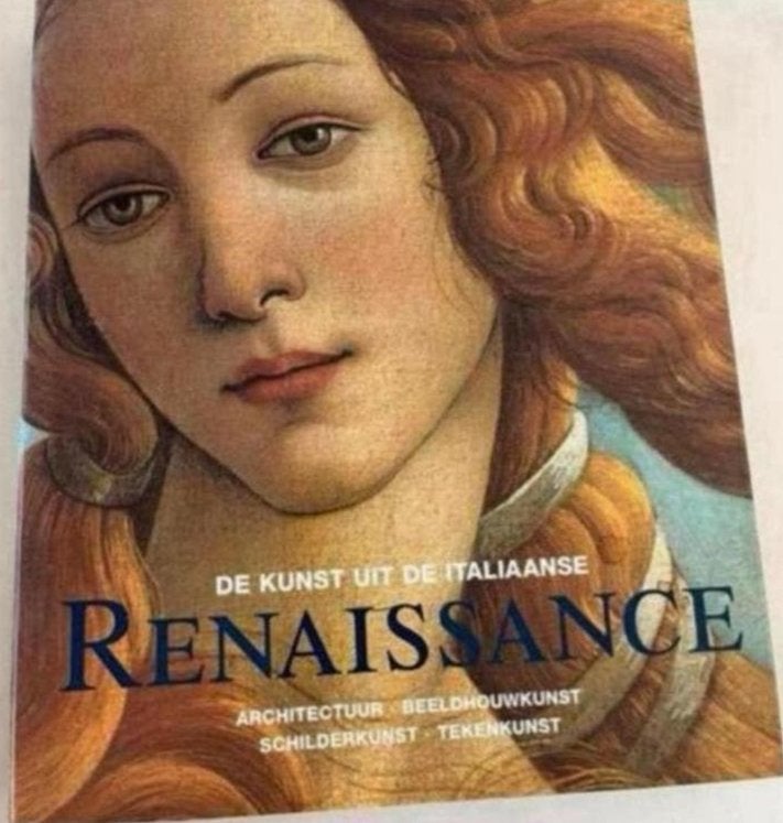 De Kunst uit de Italiaanse Renaissance Architectuur, Boeken, Ophalen of Verzenden, Zo goed als nieuw