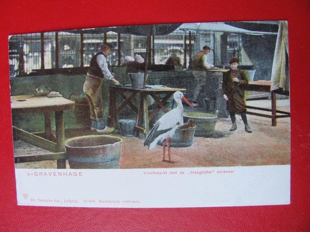 Den Haag, vischmarkt, Verzamelen, Ophalen of Verzenden, Voor 1920, Zuid-Holland