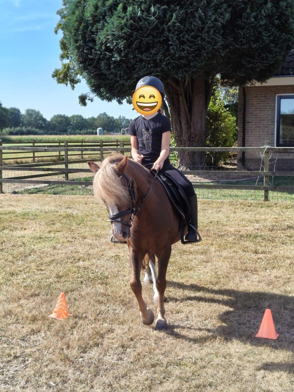 les/ instructeur, Dieren en Toebehoren