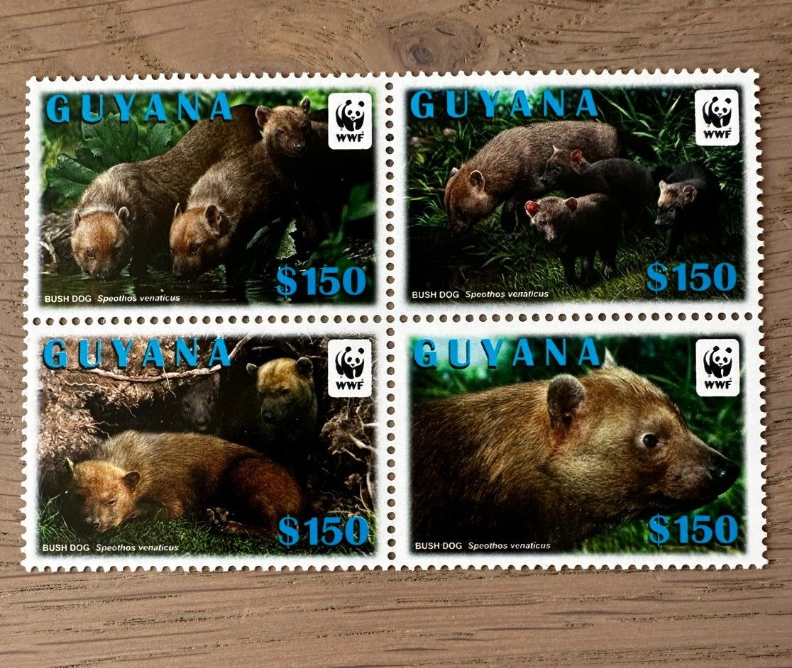 Guyana 2011 WWF Boshond Postfris dieren, Ophalen of Verzenden, Postfris