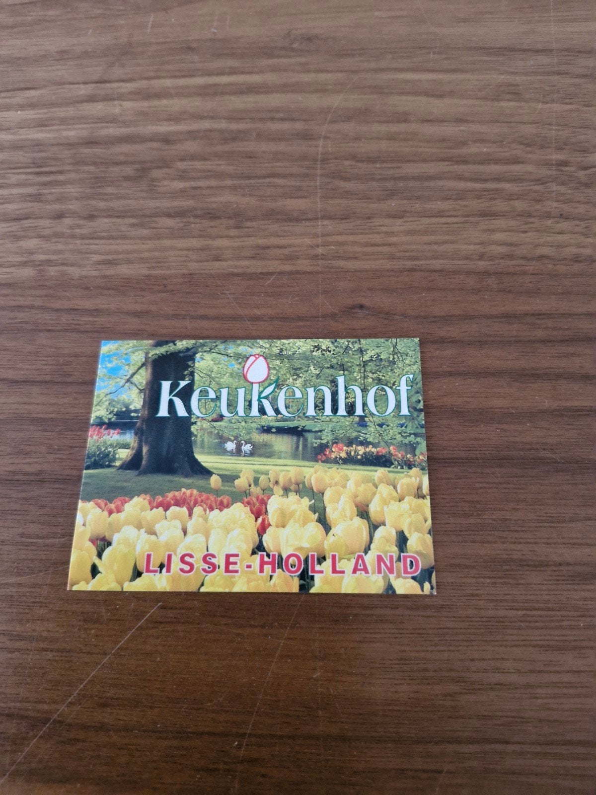 1032 Keukenhof Lisse-Holland Sticker, Verzamelen, Ophalen of Verzenden, Nieuw, Overige typen