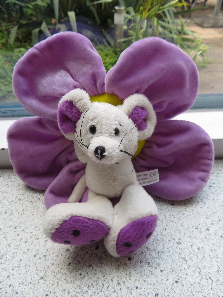Paars gele bloem met schattig muisje merk Nicky Toy, Paars, Muis, Ophalen of Verzenden, Zo goed als nieuw