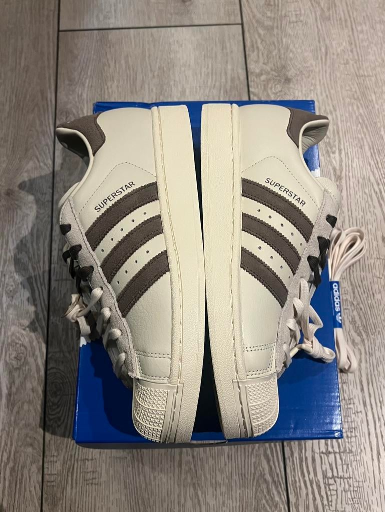 Adidas Originals x Molly-Mae Superstar Latte - Maat 37 1/3, Beige, Nieuw, Ophalen of Verzenden, Sneakers of Gympen