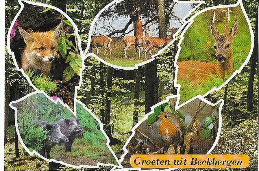 Beekbergen, Ophalen of Verzenden, 1960 tot 1980, Gelopen, Gelderland