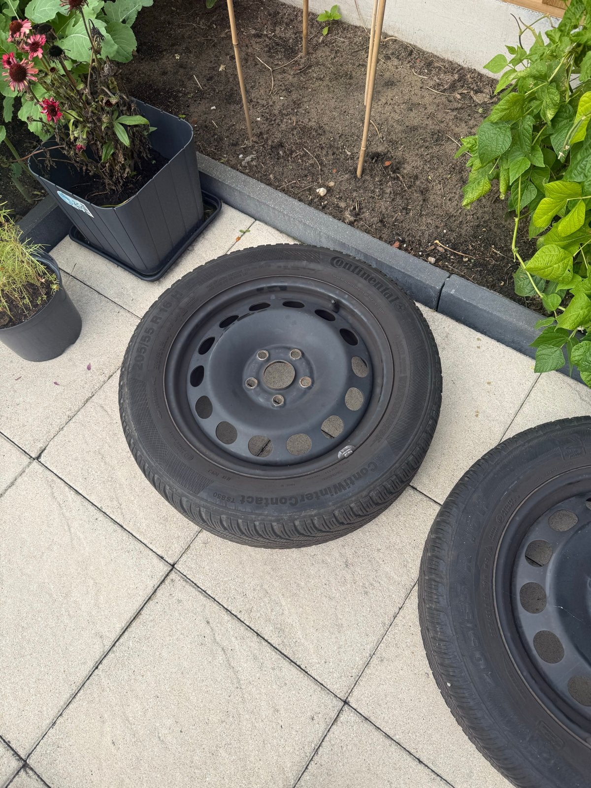 Continental WinterContact TS810 205/55 R16 winterbanden, Ophalen, Gebruikt, 16 inch, Banden en Velgen