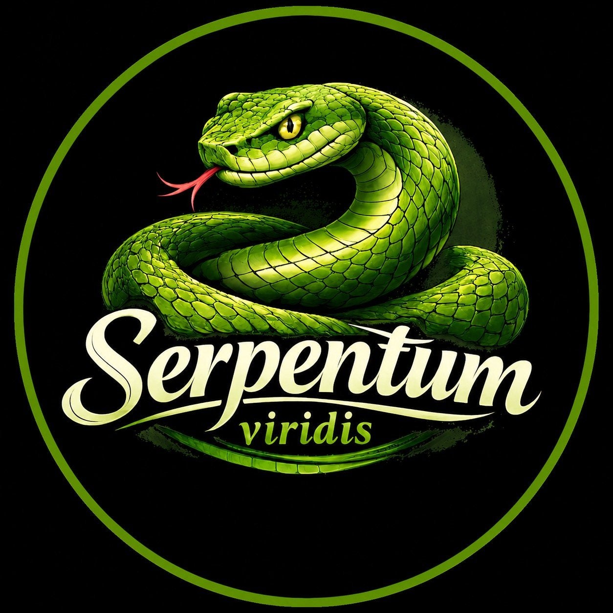 Xenodon pulcher - driekleurige haakneus - tricolor hognose Hognose Snake photo 3