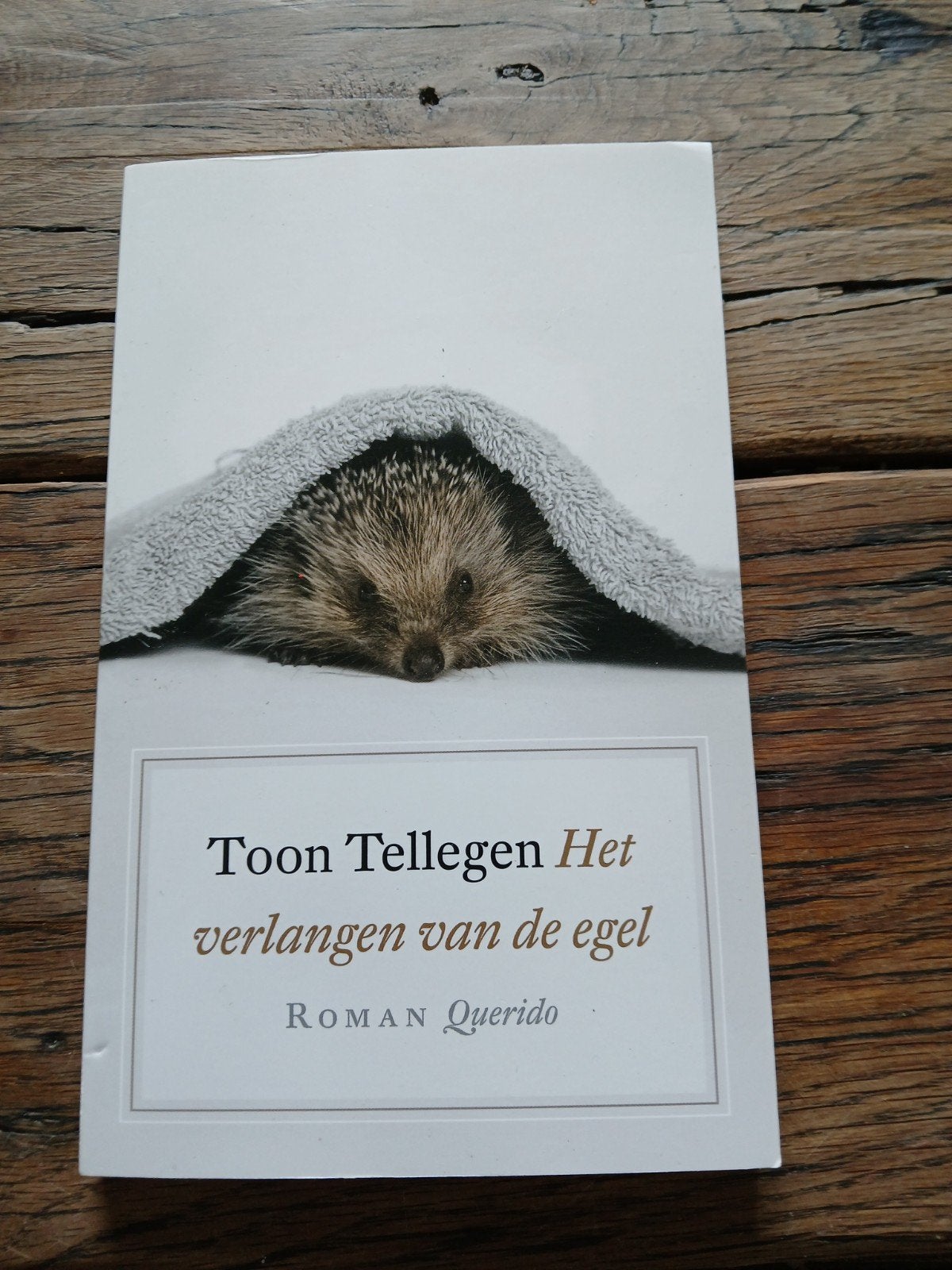 Toon Tellegen - Het verlangen van de egel (Roman), Ophalen of Verzenden, Zo goed als nieuw, Toon Tellegen, Nederland
