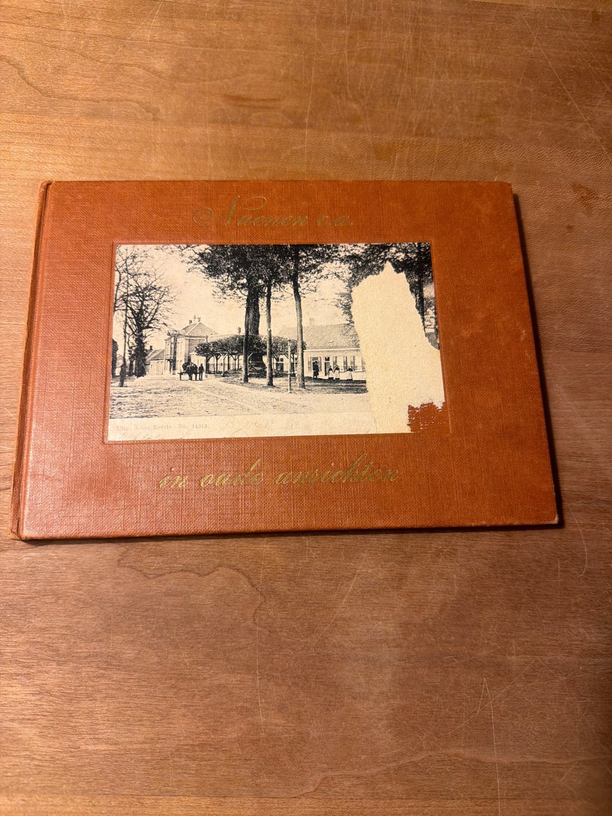 Oud fotoboek 'Haarlem in oude ansichten', Ophalen of Verzenden, Voor 1920, Gelopen, Noord-Holland