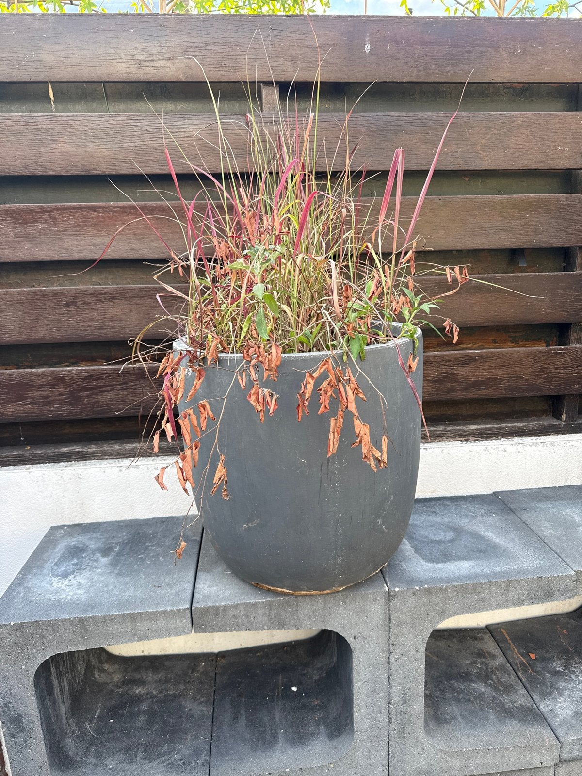 Grote buitenpot met inhoud, onderkant beschadigd, Tuin en Terras, Bloempotten, Ophalen, Overige materialen, Gebruikt, 40 cm of meer
