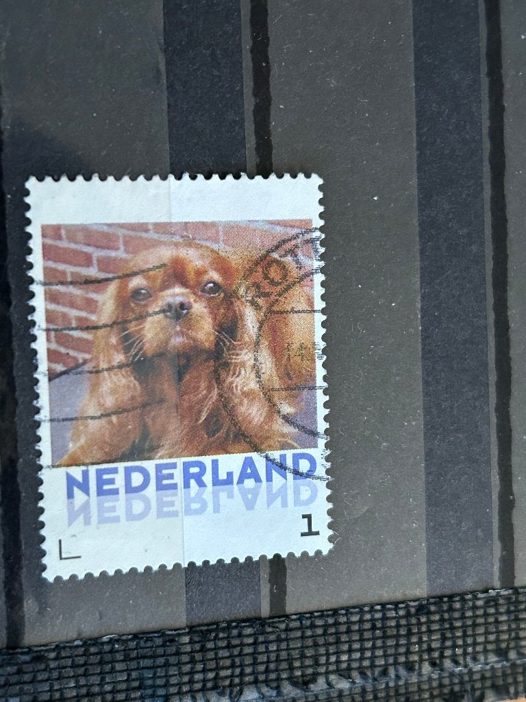 Persoonlijke zegel. Hond. Cavalier King Charles Spaniel., Ophalen of Verzenden, Na 1940, Gestempeld