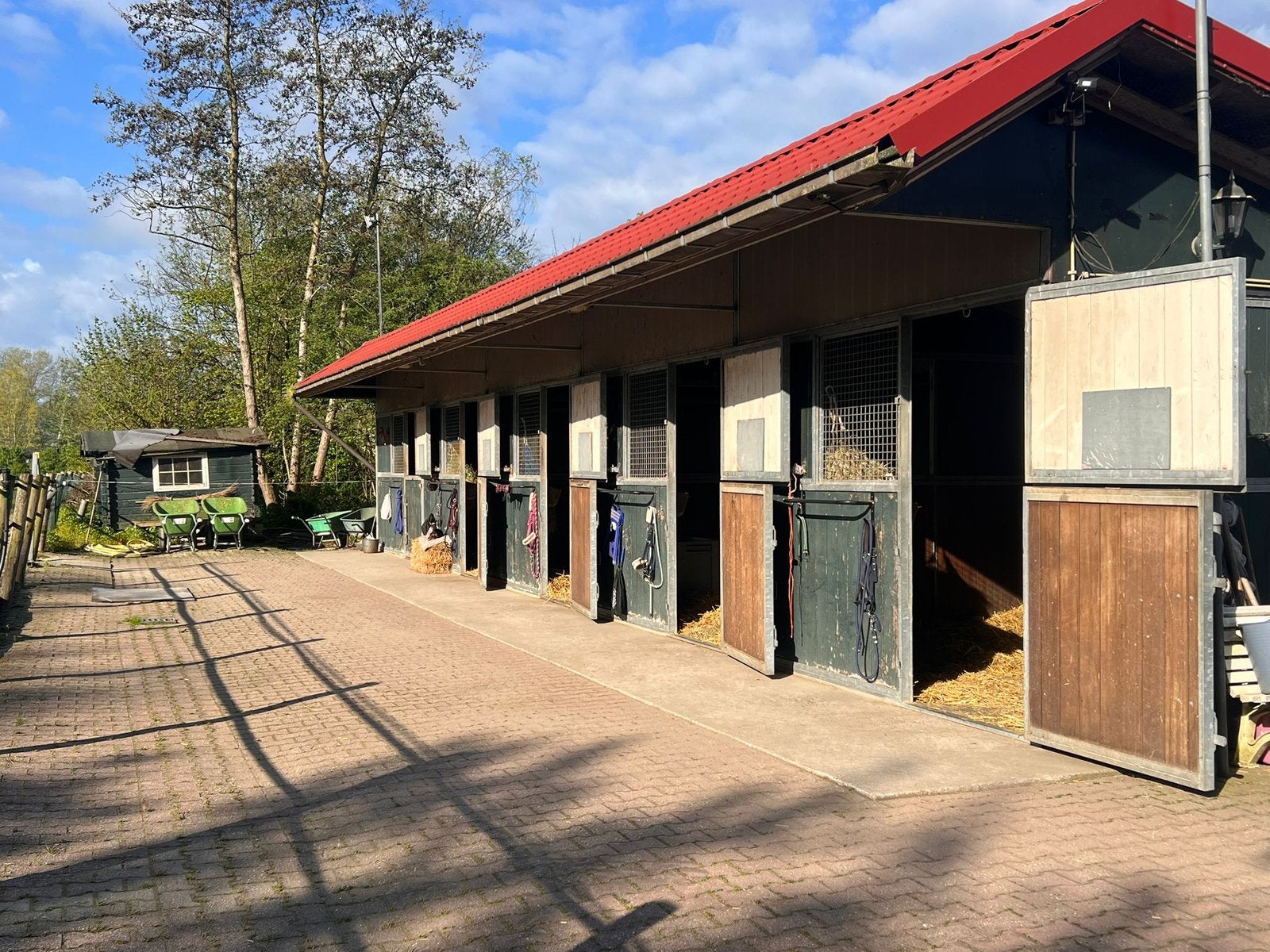STALGENOOTJES GEZOCHT IN CULEMBORG, Dieren en Toebehoren, Stalling en Weidegang, Weidegang