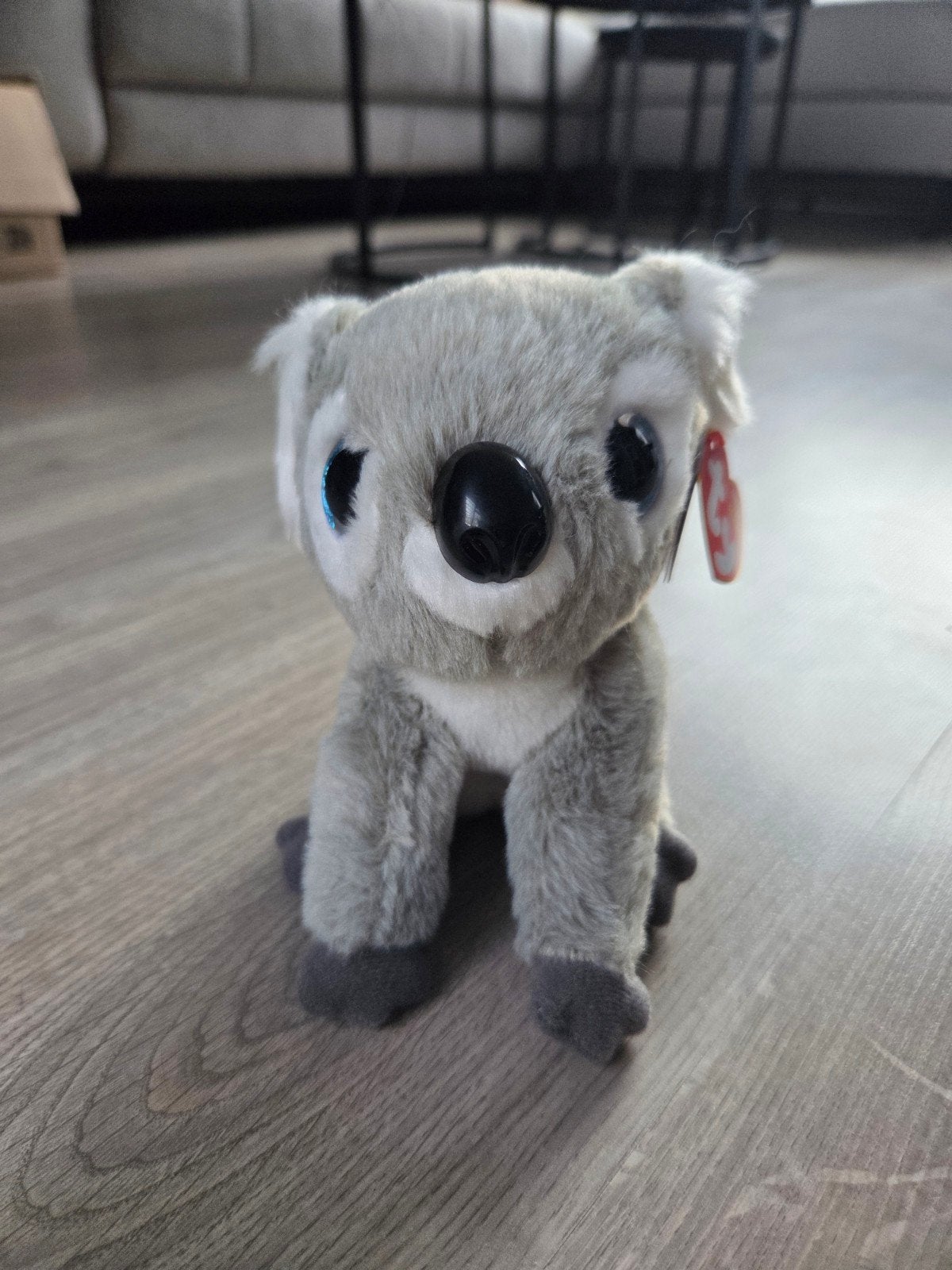 TY Koala KooKoo 15cm, Ophalen of Verzenden, Nieuw