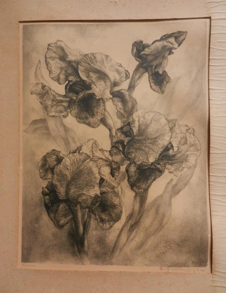 Litho Irissen Aart van Dobbenburgh 1936 hxb: 42,8 x 32,9 cm., Ophalen of Verzenden