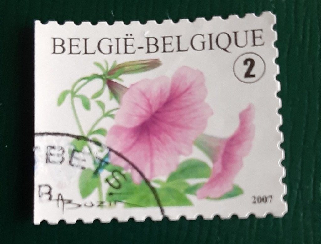 Belg jaar 2007 cob nr 3722, Ophalen of Verzenden, Gestempeld, Gestempeld