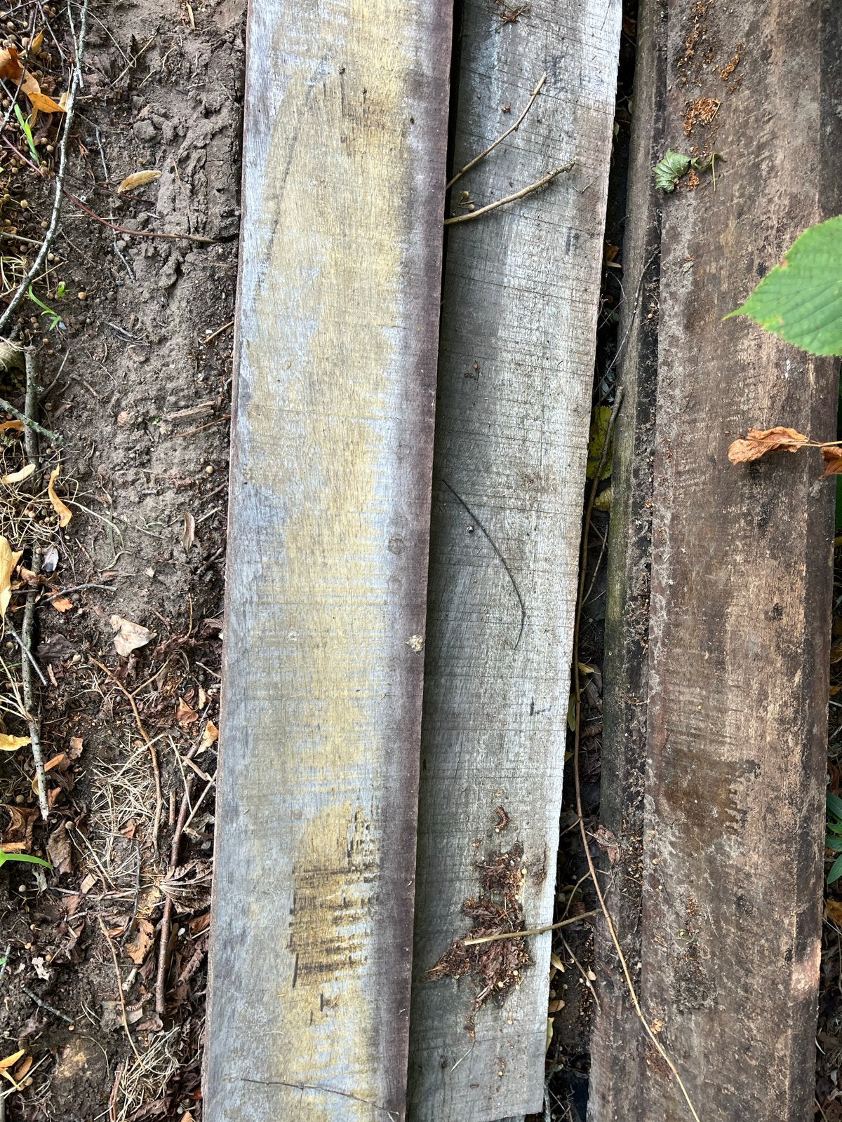 Hardhouten balken - Gebruikt, Diverse lengtes, Ophalen, Gebruikt, 25 tot 50 mm, 300 cm of meer