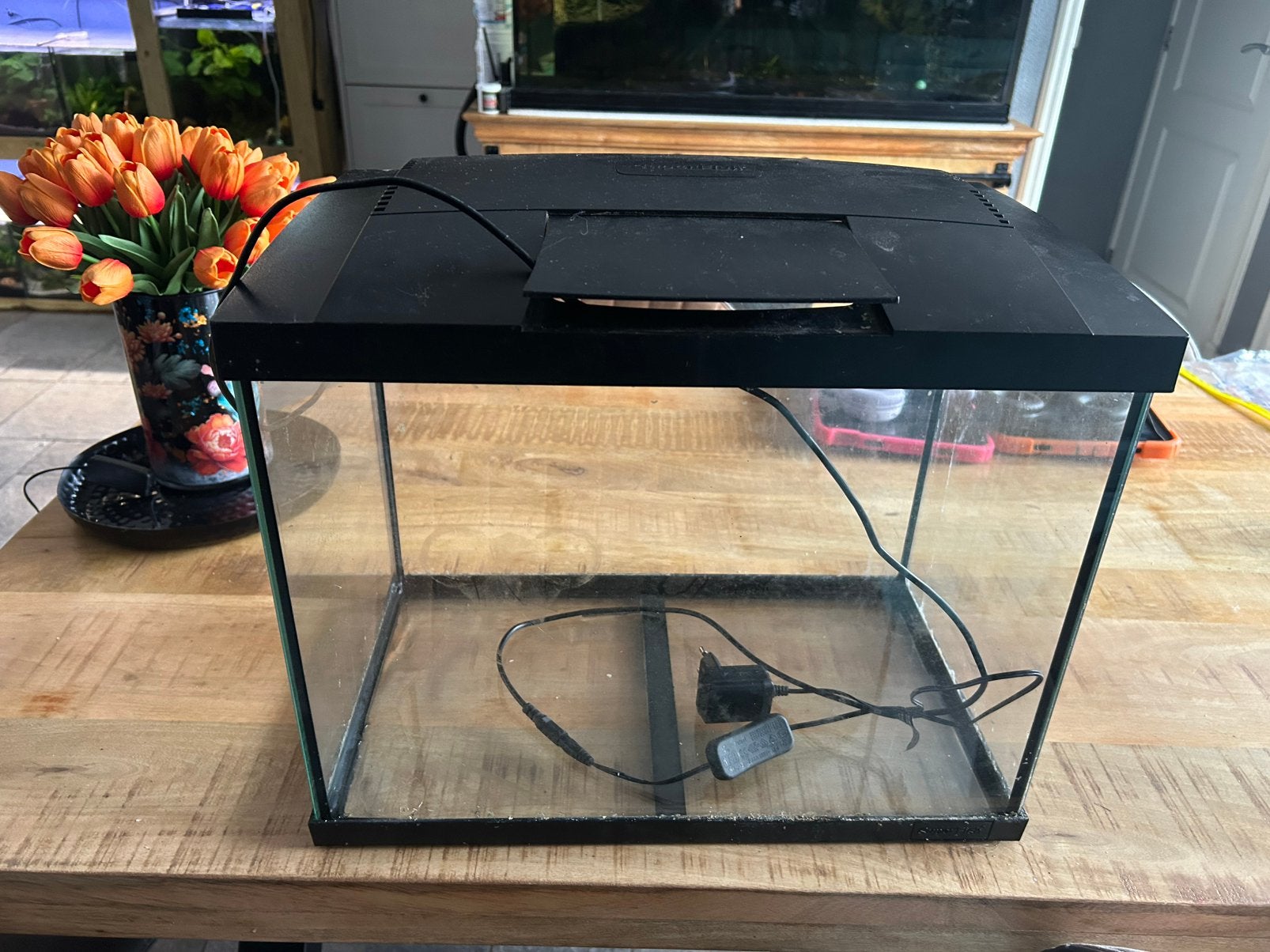 Superfish 50 start lichtkap past alleen niet helemaal lekker, Ophalen, Zo goed als nieuw, Leeg aquarium