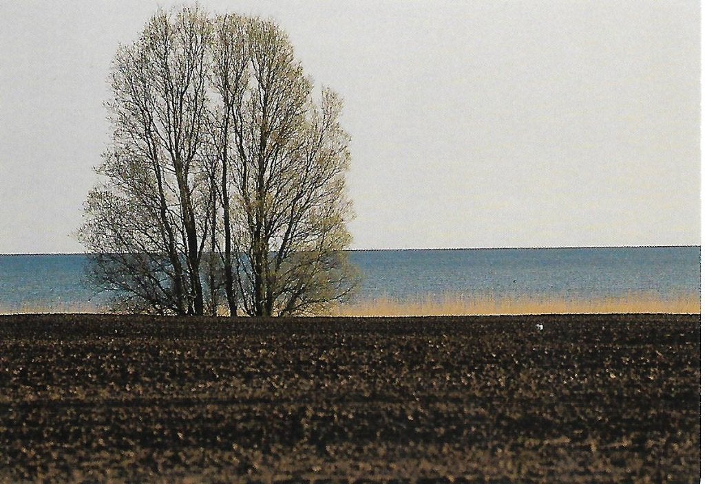 Oudemirdum- -Aan het IJsselmeer., Ophalen of Verzenden, 1980 tot heden, Ongelopen, Friesland