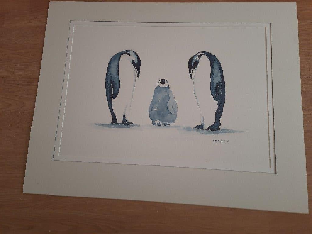 Grote prent van Pinguins voor bv baby/kinderkamer gesigneerd, Ophalen, 1980 tot heden, Zo goed als nieuw, Dier