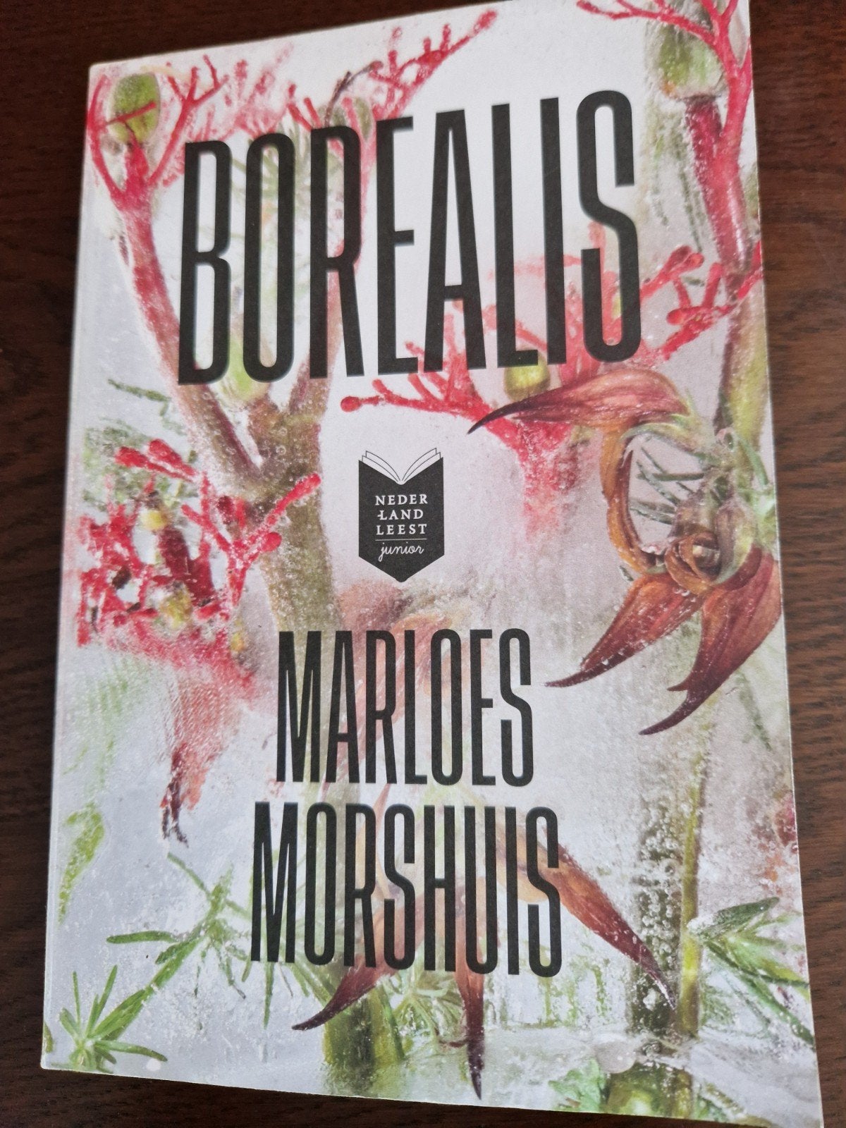 Borealis, Ophalen of Verzenden, Zo goed als nieuw, Marloes Morshuis