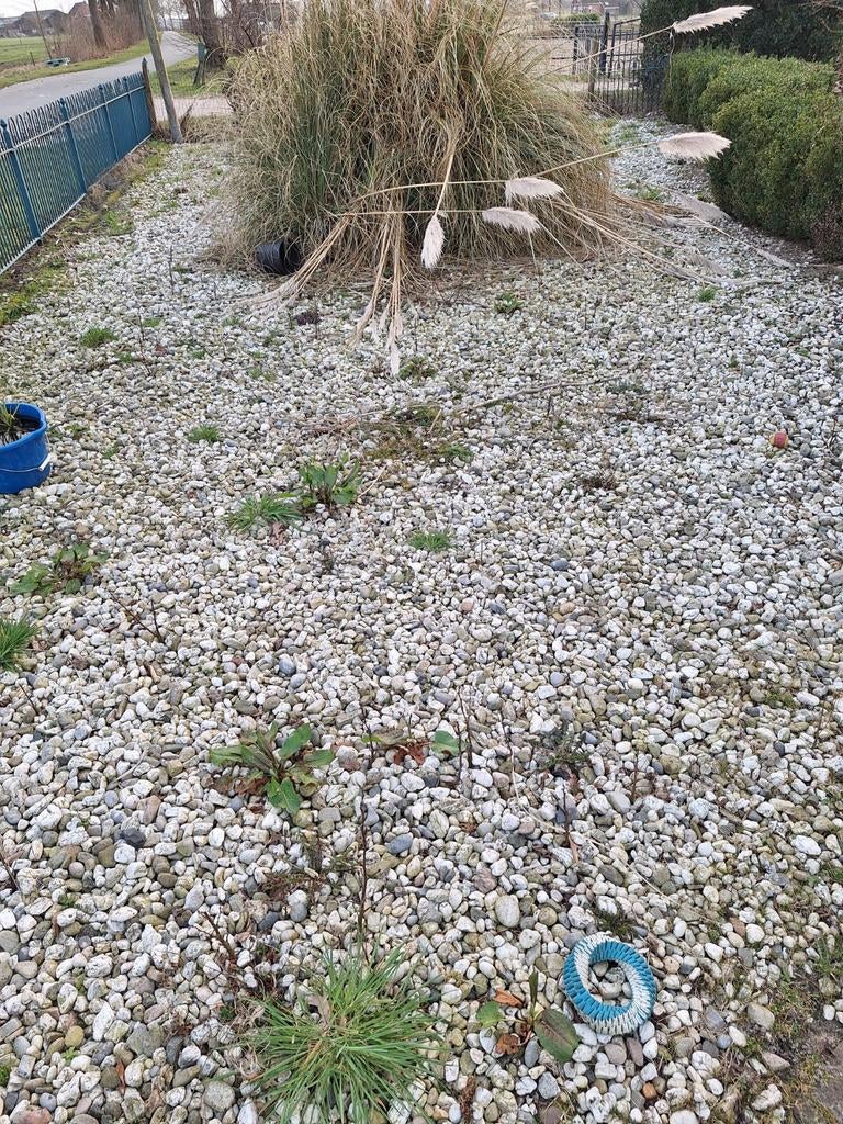 Grind zelf opscheppen - Ideaal voor tuin of oprit, Tuin en Terras, Ophalen of Verzenden, Gebruikt, Wit, Grind
