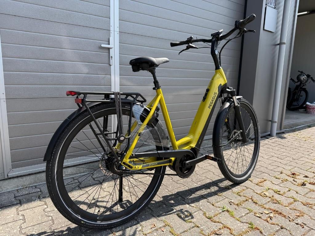 Pegasus Ravenna Evo 8f Belt, Overige merken, 53 tot 56 cm, Info@pegasus.com, Schijfrem