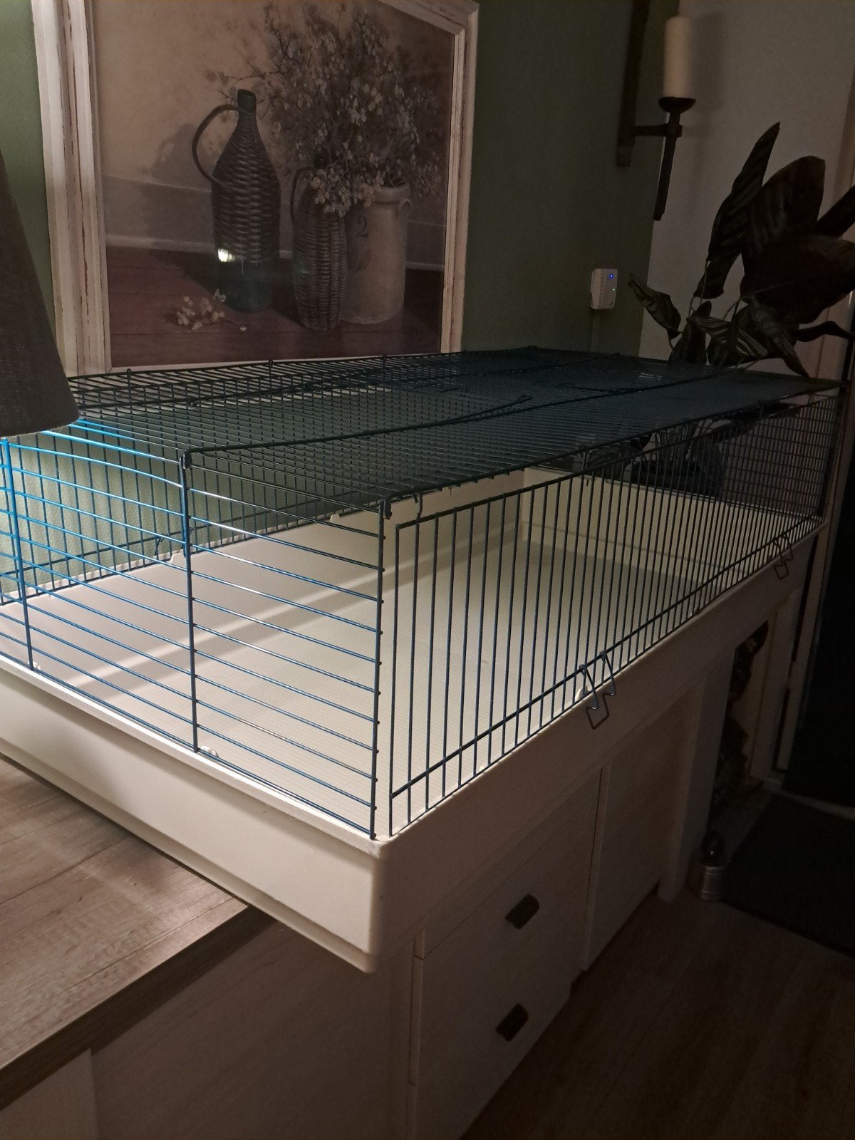 mooie cavia kooi, Kooi, 110 cm of meer, Zo goed als nieuw, Ophalen