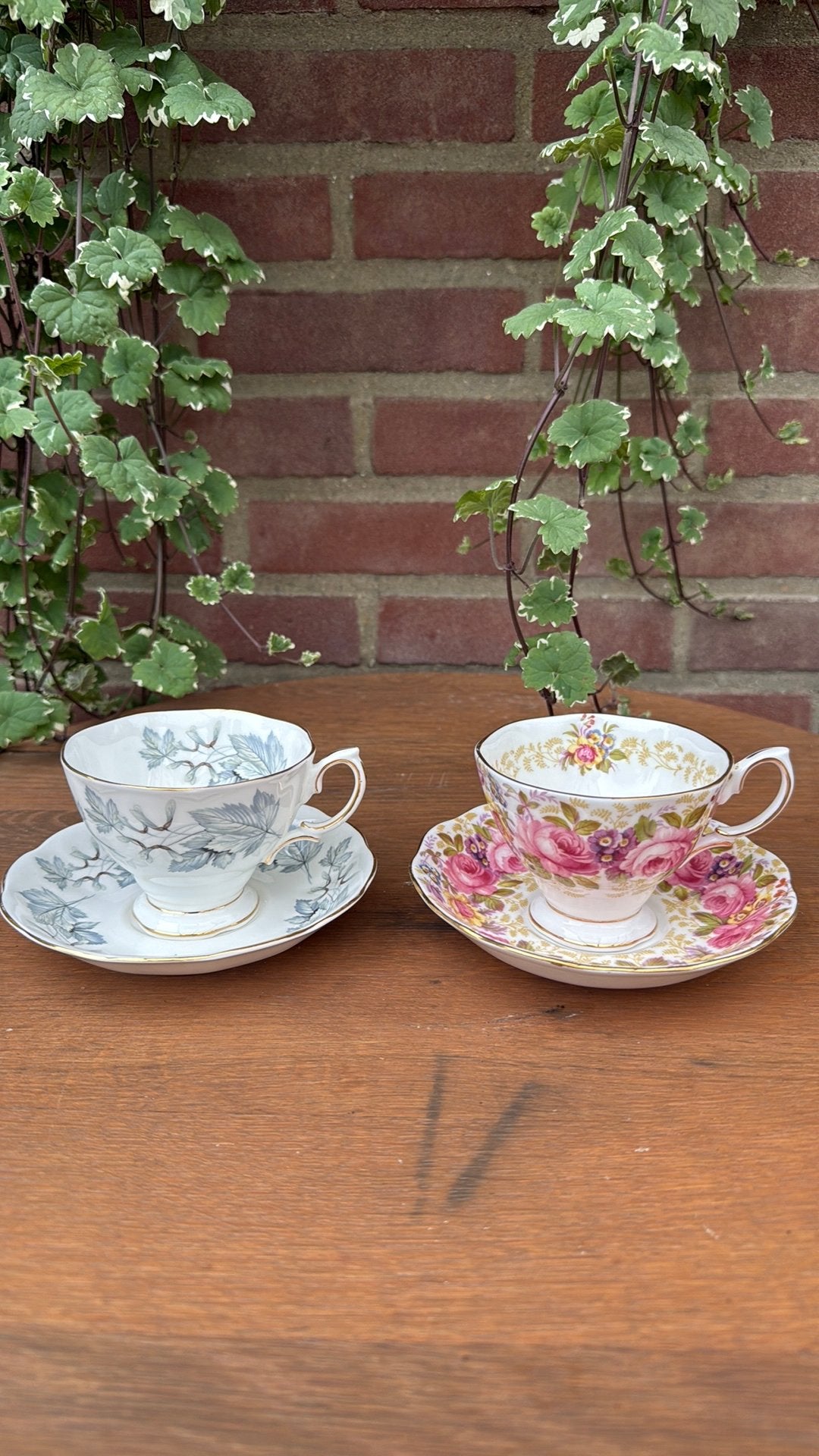 Royal albert heren kop en schotel serena silver maple, Ophalen