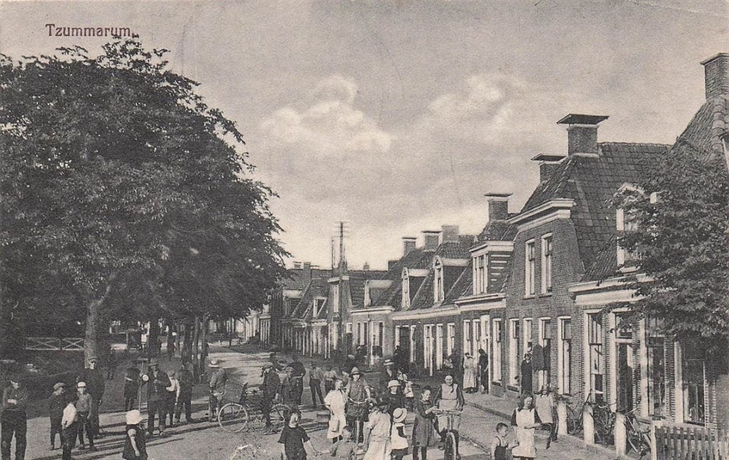 703-491-039 Tzummarum, Ophalen of Verzenden, Voor 1920, Friesland
