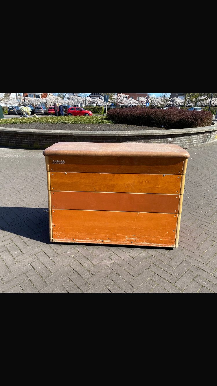 Gymkast, Sport en Fitness, Turnen, Maat 36 t/m 42, Ophalen, Gebruikt, Materiaal