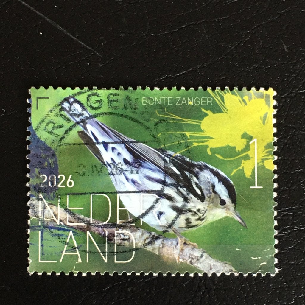 2463 Nederland 2026 Beleef vogels SABA, Bonte zanger - geste, Ophalen of Verzenden, Na 1940, Gestempeld