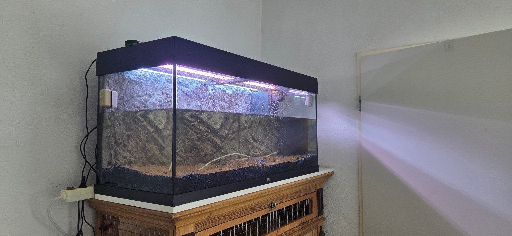 Aquatium 1m breed met achterwand, Ophalen, Gebruikt, Juwel, Grind, Zand of Voedingsbodem