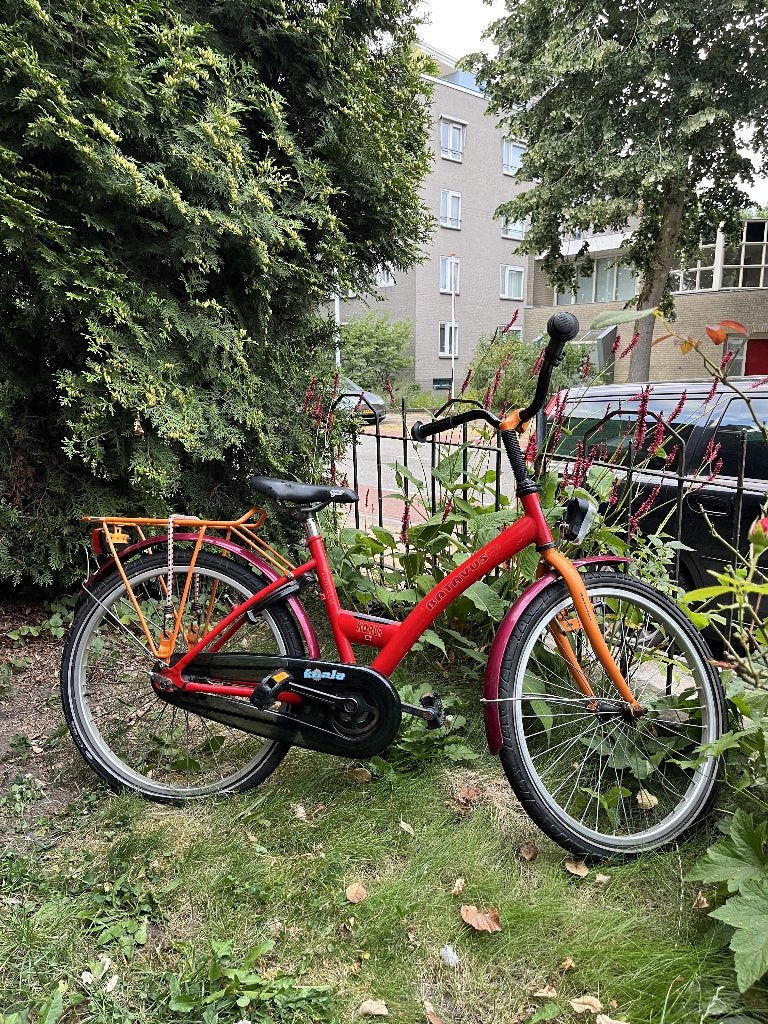 Kinderfiets Batavus, Fietsen en Brommers, Fietsen | Kinderfietsjes, Ophalen, Gebruikt, Batavus, Terugtraprem
