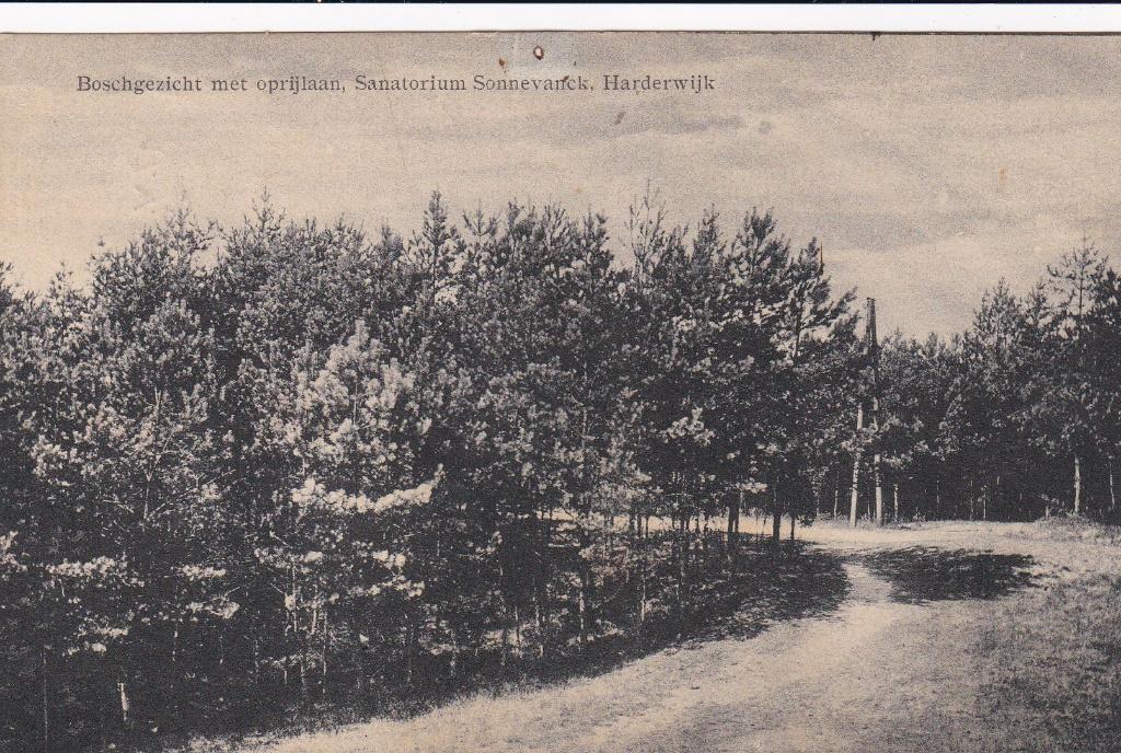 harderwijk sanatorium  1920, Ophalen of Verzenden, Voor 1920, Noord-Brabant