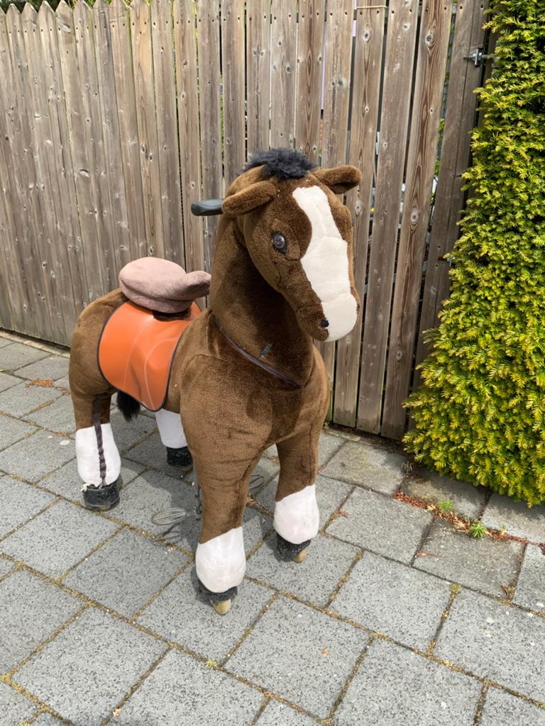 Professionele XXL PonyCycle Extra Groot tot 125 kilo, Ophalen, Gebruikt, Trapvoertuig
