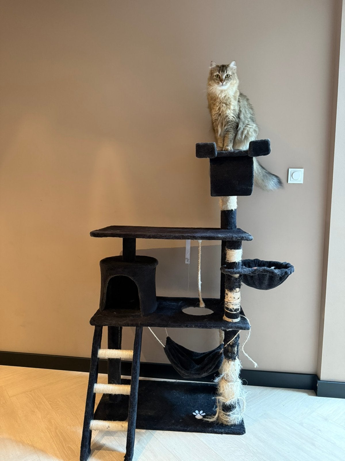 Zwarte kattenkrabpaal, Ophalen, Gebruikt, Krabpaal