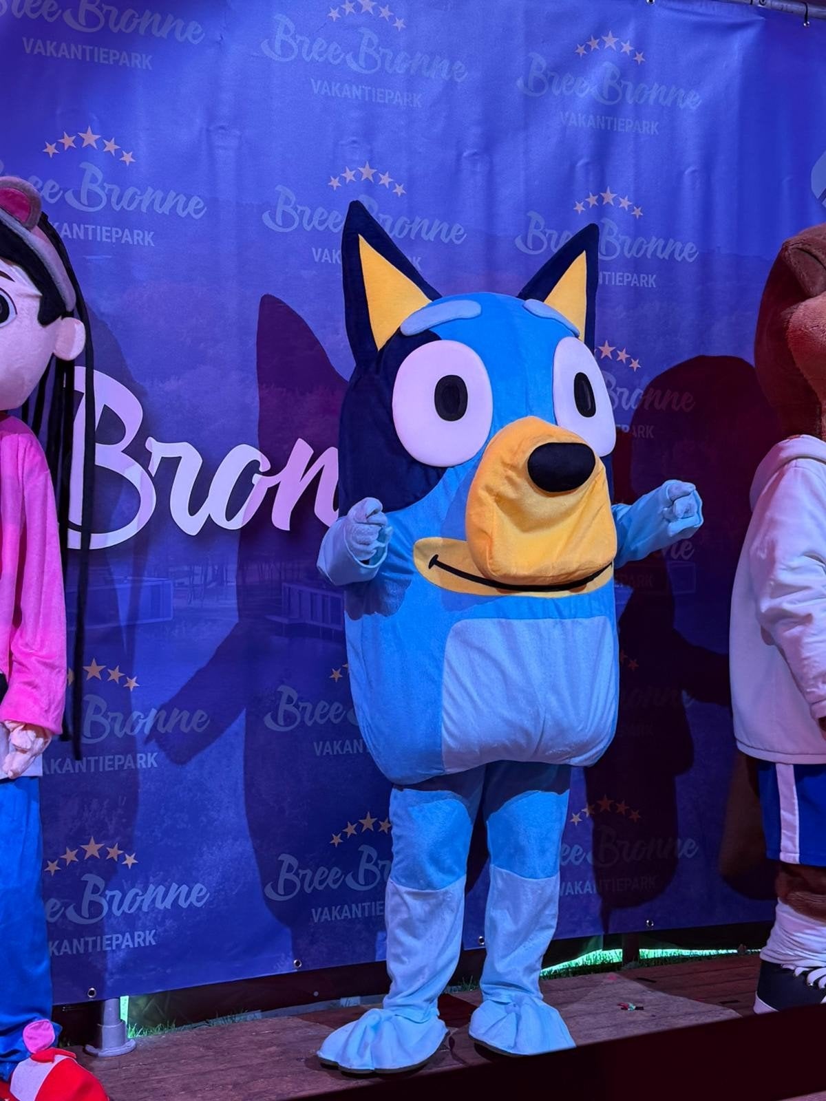 Bluey Mascotte Pak - Huur of Koop voor Feestjes!, Ophalen of Verzenden