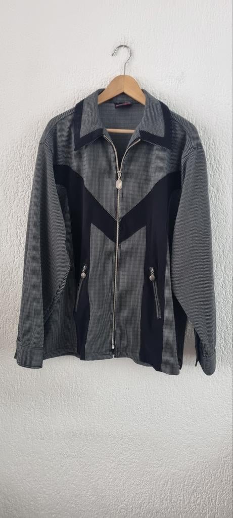 Heren jasje maat Large., Kleding | Heren, Kostuums en Colberts, Ophalen of Verzenden, Zo goed als nieuw, Maat 52/54 (L)