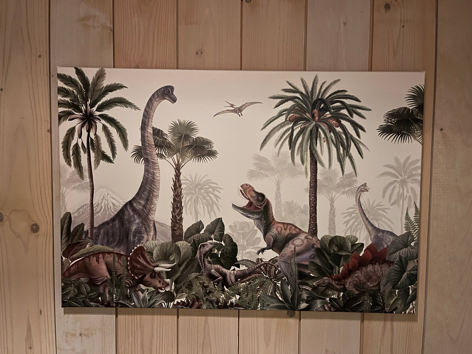 Dino slaapkamer set: schilderij, knuffels, skelet, Ophalen of Verzenden, Gebruikt, Jongen of Meisje