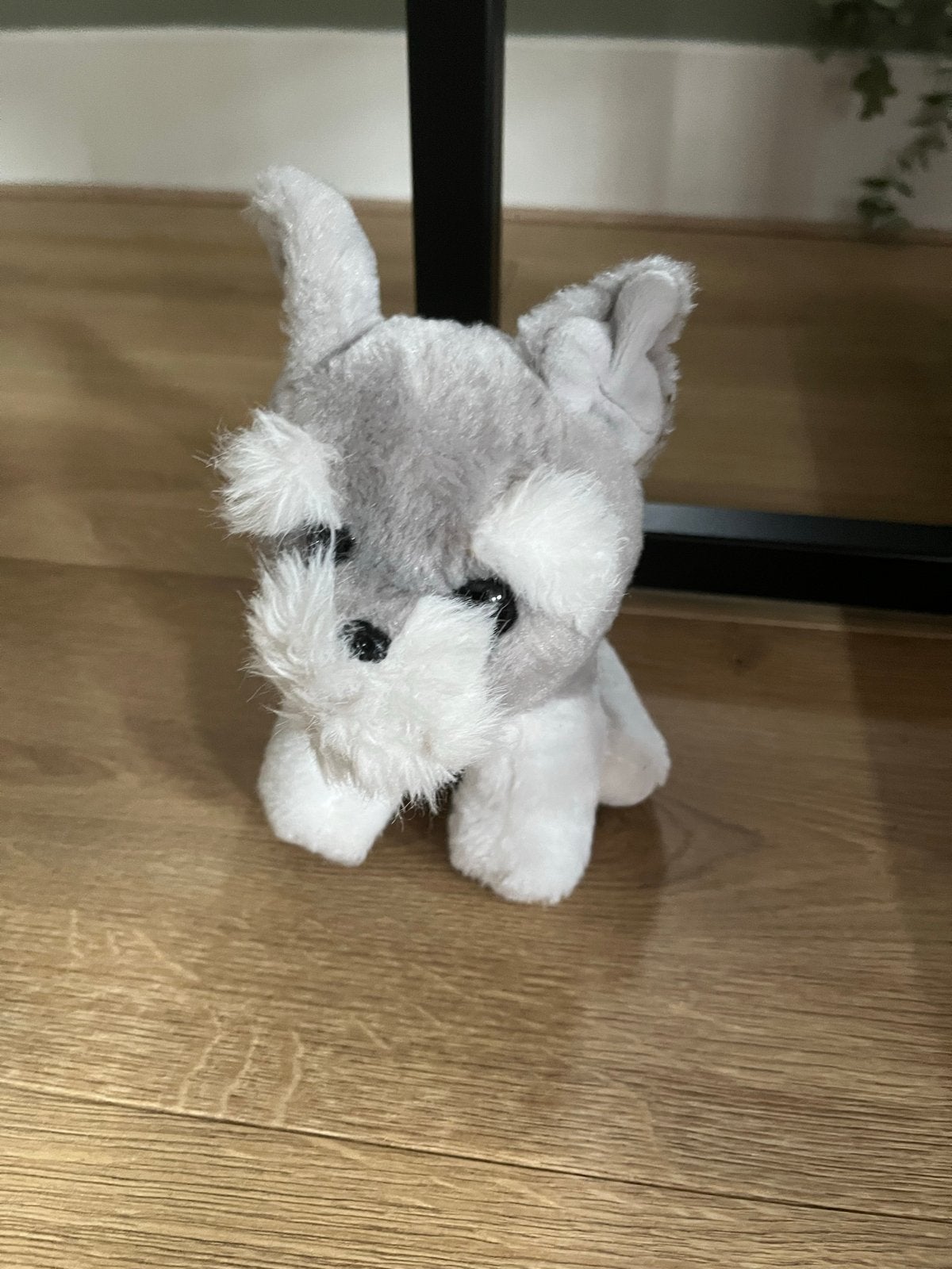 Leuke Schnauzer knuffel - Grijs en wit, Grijs, Zo goed als nieuw, Middelgroot (20 tot 80 cm), Hond